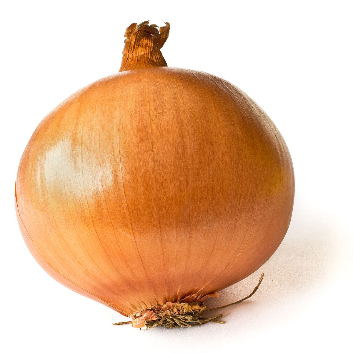 1200px-Onion_on_White.jpg