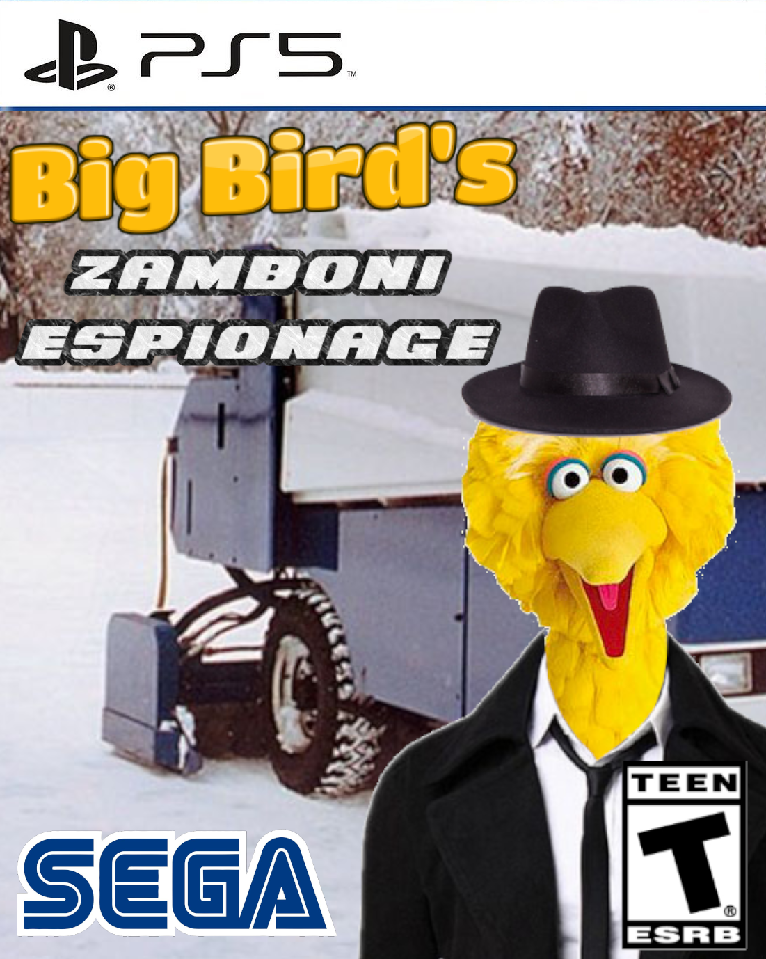 BigBirdPS5.png