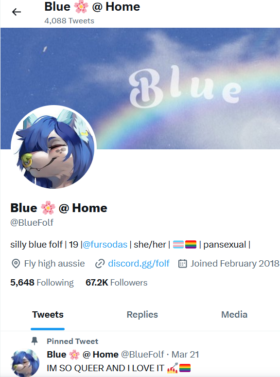 BlueFolfTwatProfile.png