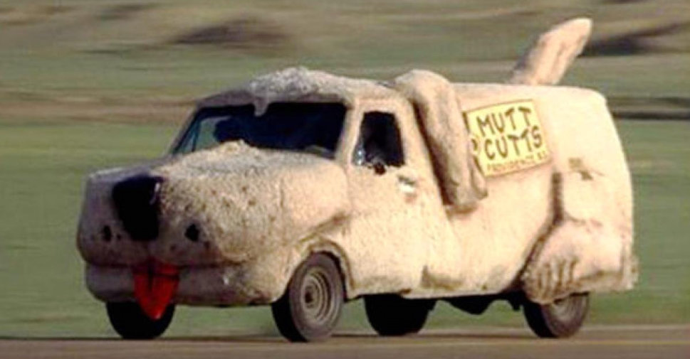 dumb and dumber dog car.jpg