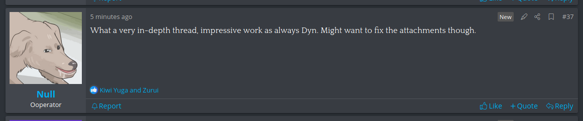 dynnoo.png