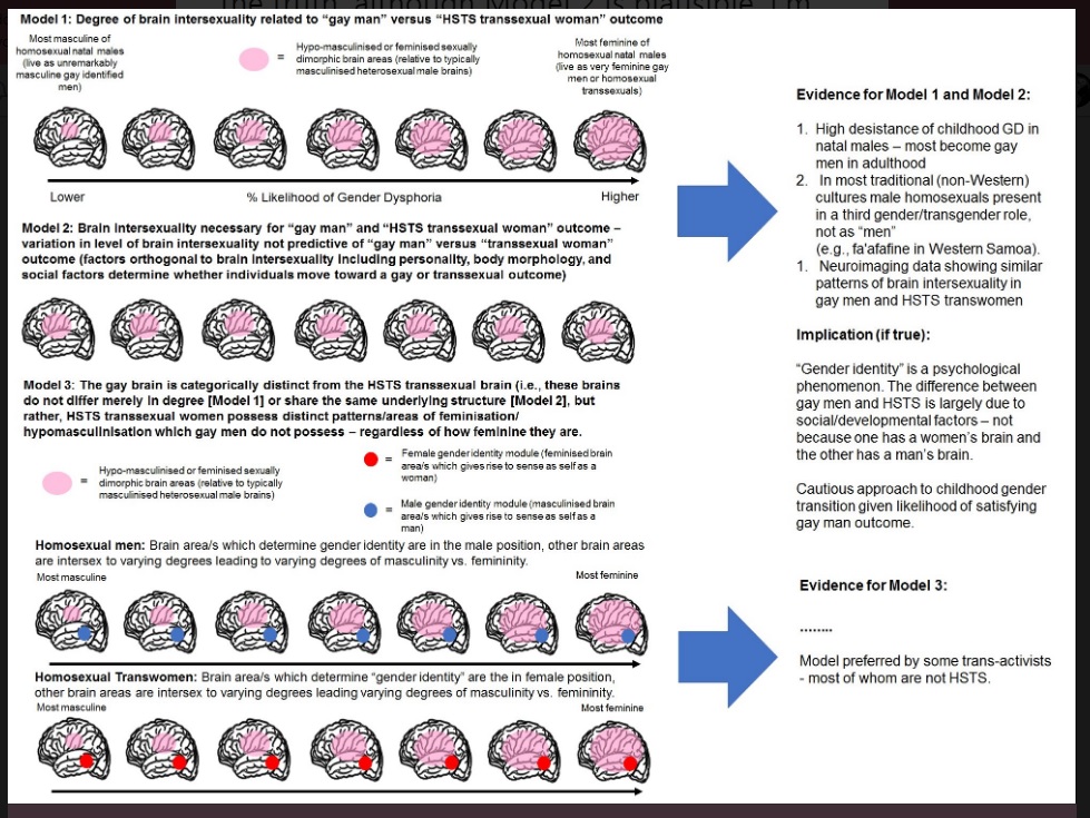 FemaleBrainsDoNotExist.jpg