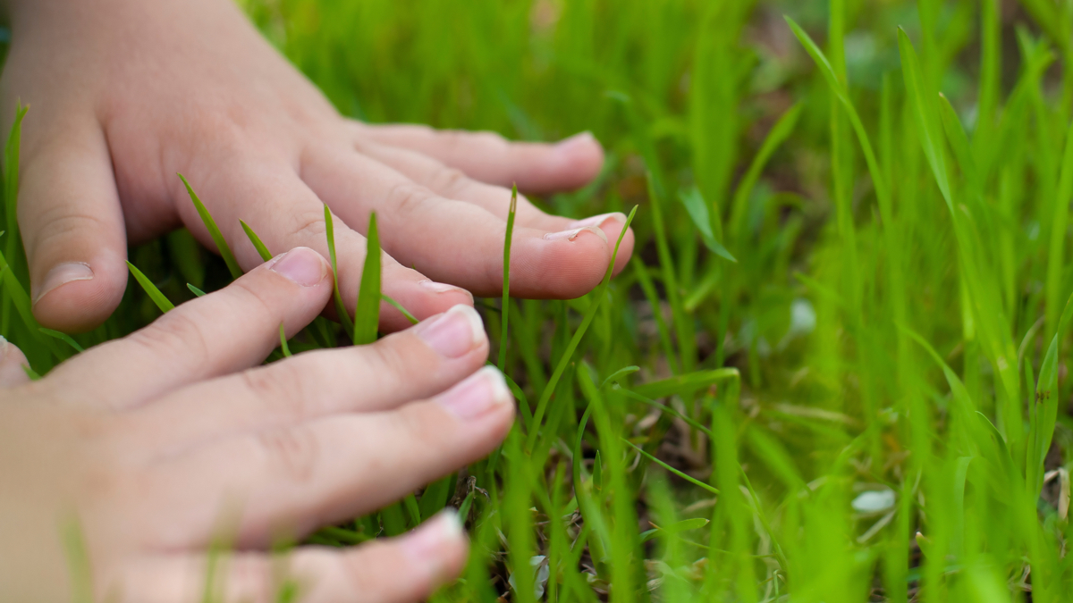 hands-touching-grass.jpg