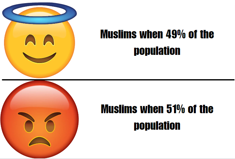 i-made-a-parody-of-the-most-popular-silliest-anti-islamic-v0-yjwh6ojlgi7c1.png