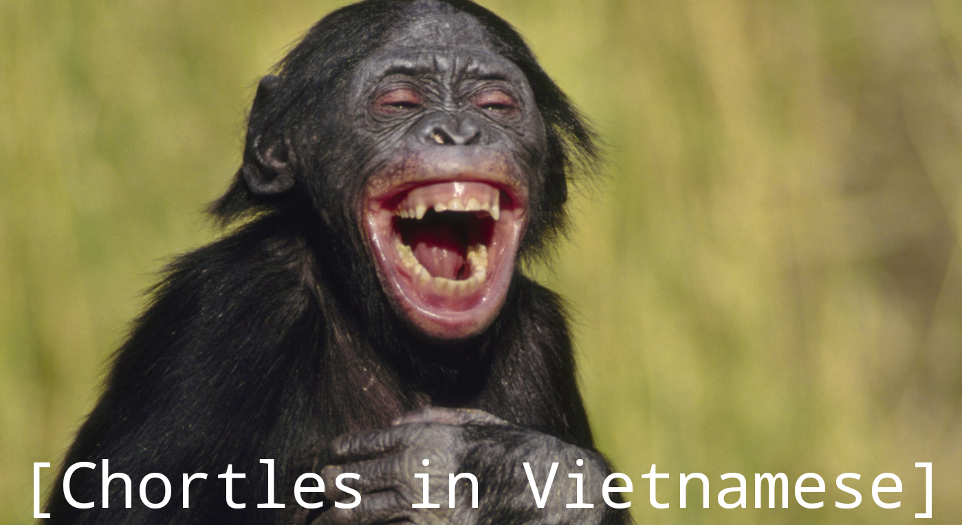 laughing-bonobo-crop.png