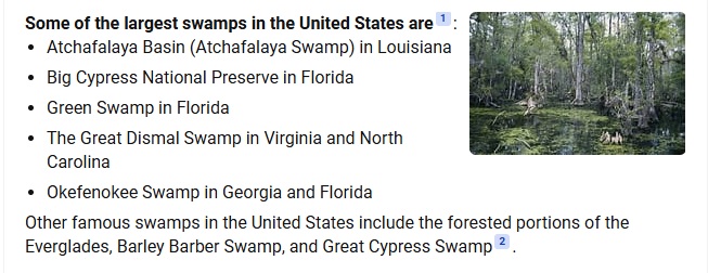 SwampsInTheUS.jpg