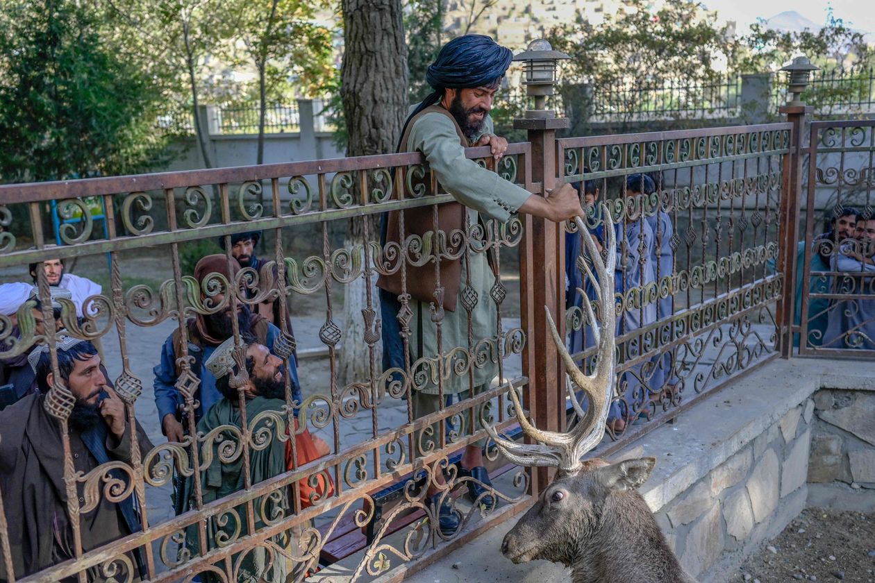 Taliban at zoo.jpg