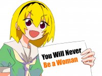 youwillneverbearealwoman.jpg