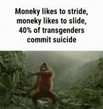 Monke.gif