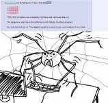 spider_posting.jpg