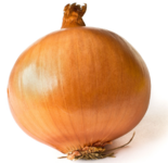 onion.png