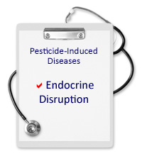 www.beyondpesticides.org